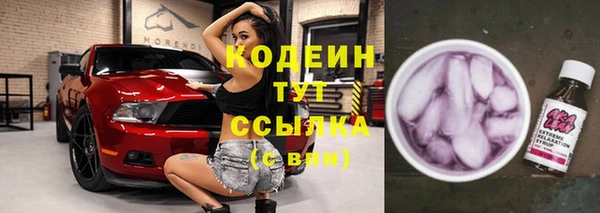 индика Магас