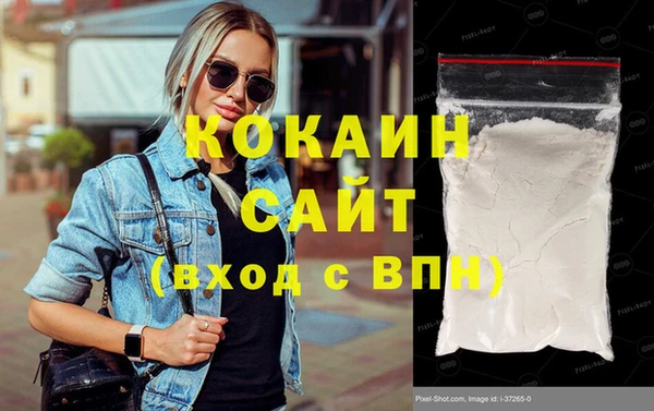 индика Магас