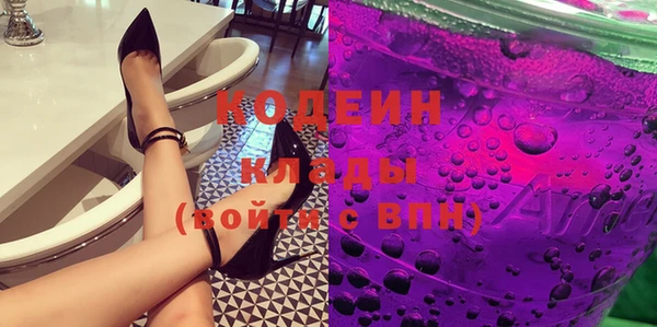 индика Магас