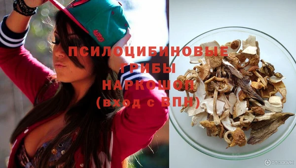 индика Магас