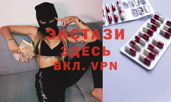индика Магас