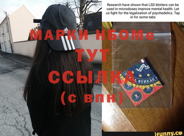 индика Магас