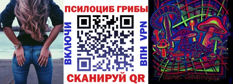 Псилоцибиновые грибы Cubensis  Купить  Нея 